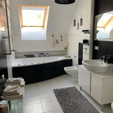 Silver Mazury ギジツコ