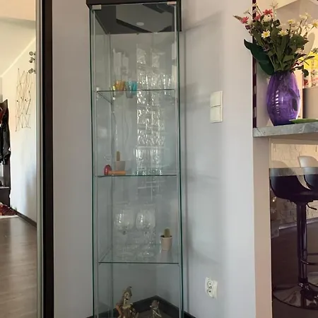 Silver Mazury ギジツコ