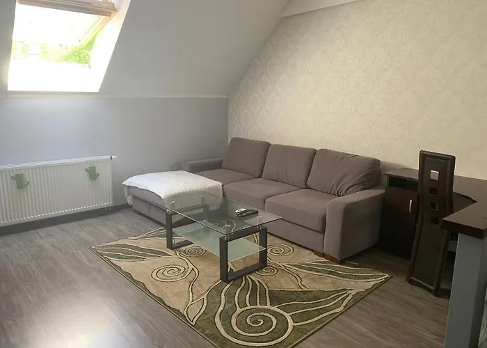 Silver Mazury Apartament *